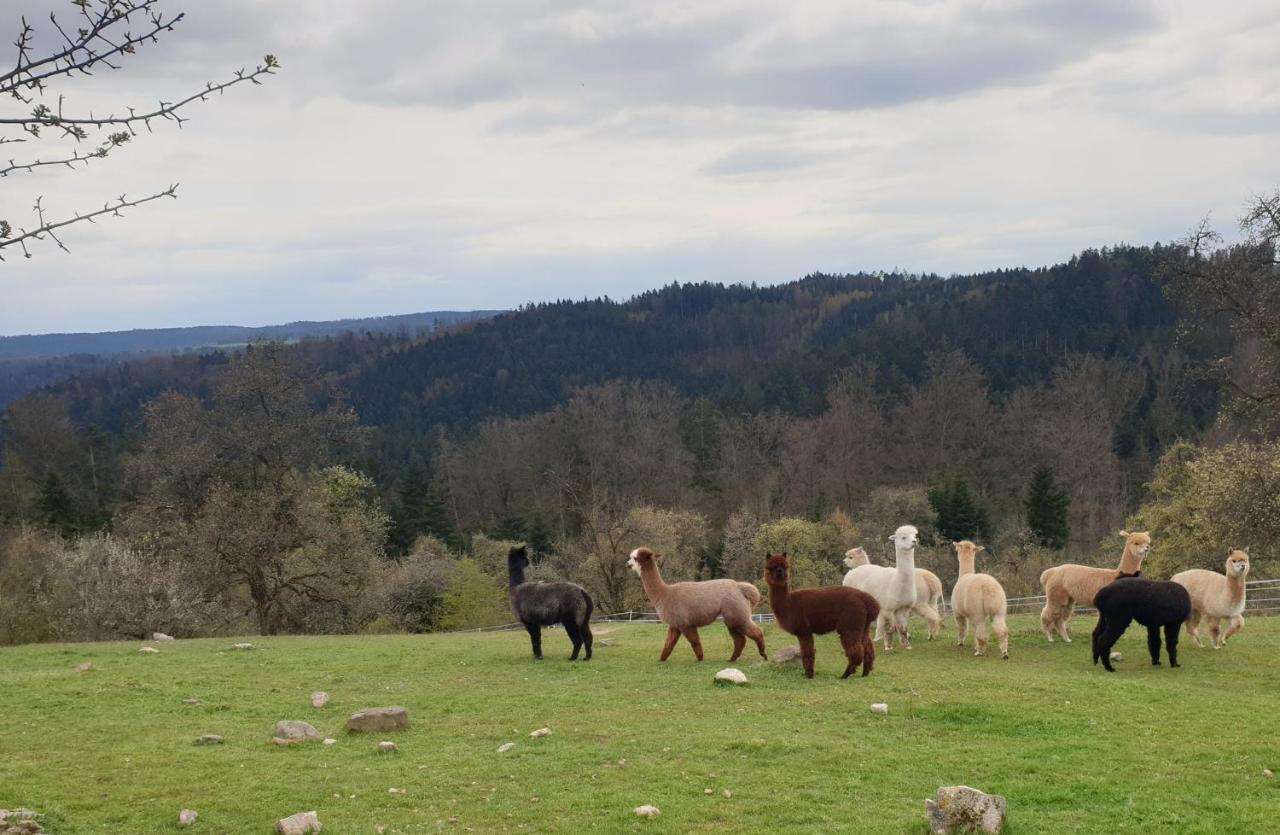 Lana Salta Alpakas - Gemuetliche Ferienwohnungen Auf Dem Bauernhof Murrhardt Exterior foto