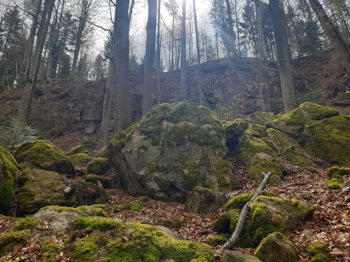 Lana Salta Alpakas - Gemuetliche Ferienwohnungen Auf Dem Bauernhof Murrhardt Exterior foto